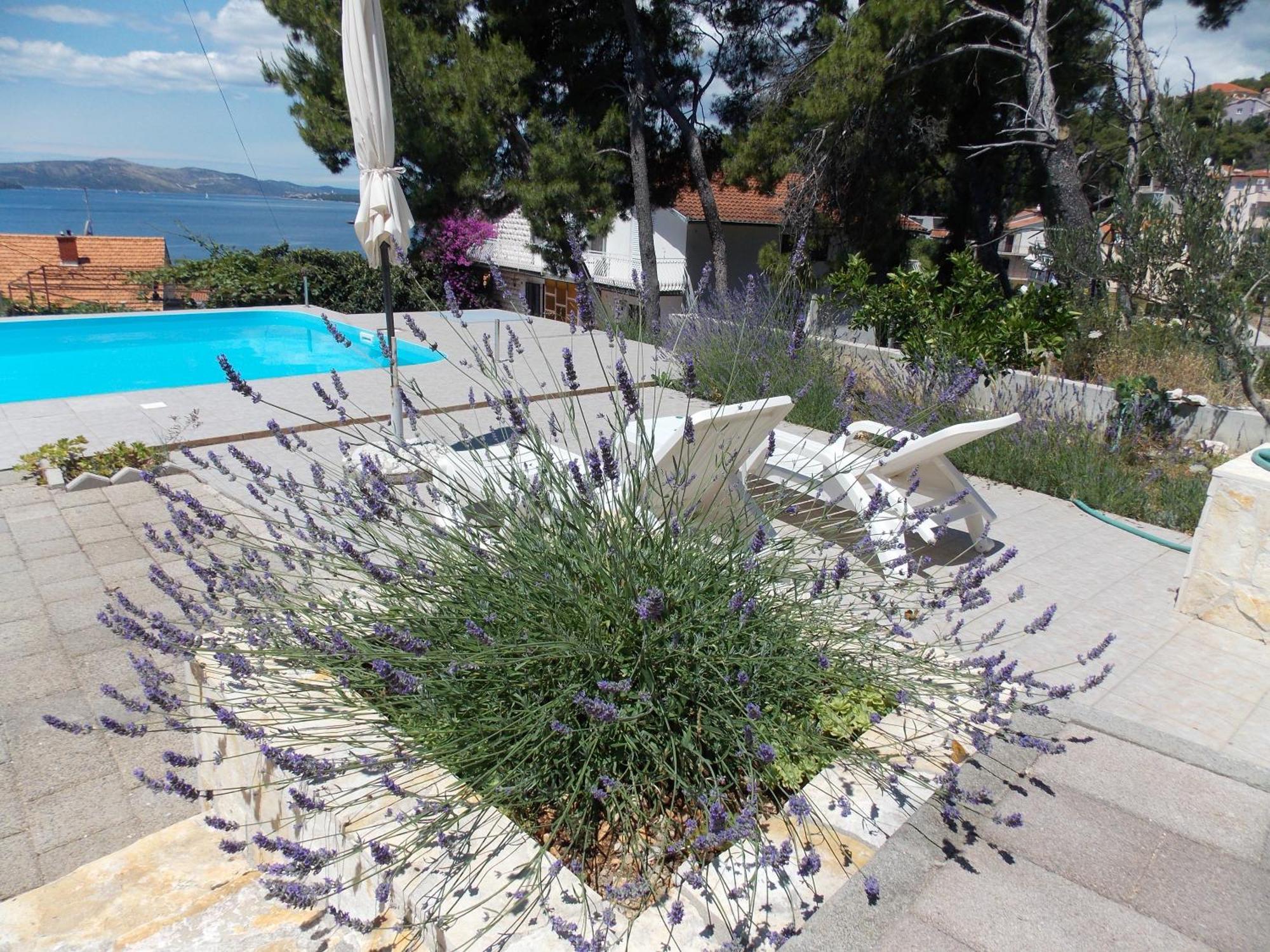 Apartments Villa Goja Trogir Pokój zdjęcie